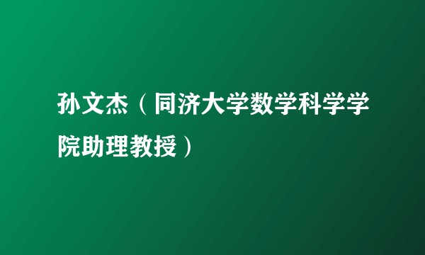 孙文杰（同济大学数学科学学院助理教授）