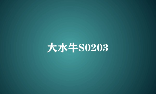 大水牛S0203
