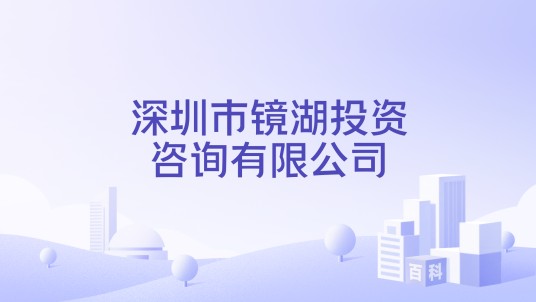 深圳市镜湖投资咨询有限公司