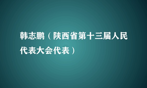 韩志鹏（陕西省第十三届人民代表大会代表）