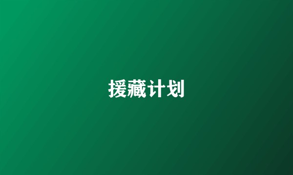 援藏计划
