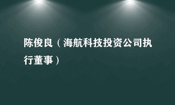 陈俊良（海航科技投资公司执行董事）