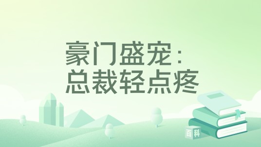 豪门盛宠:总裁轻点疼