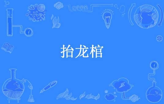 抬龙棺（桃木生所著小说）