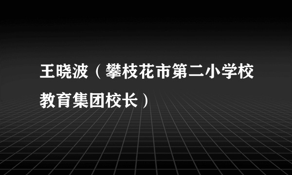 王晓波（攀枝花市第二小学校教育集团校长）