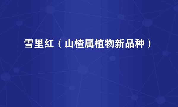 雪里红（山楂属植物新品种）