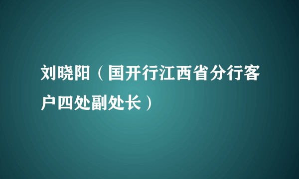 刘晓阳（国开行江西省分行客户四处副处长）
