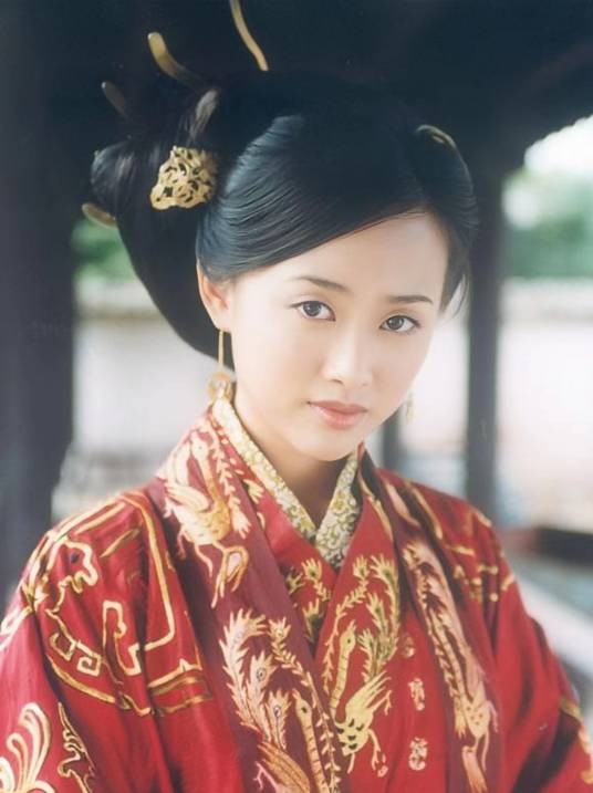 卫子夫（电视剧《大汉天子》中的角色）