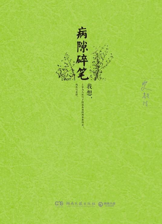病隙碎笔（史铁生创作的散文集）