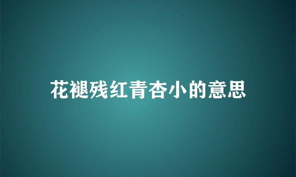 花褪残红青杏小的意思