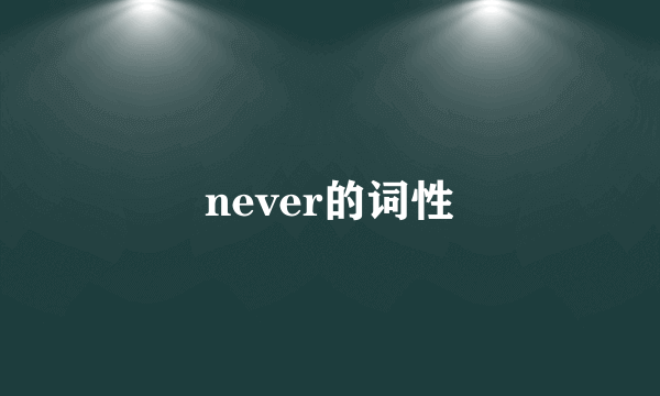never的词性