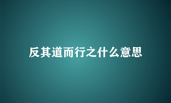 反其道而行之什么意思