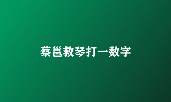 蔡邕救琴打一数字