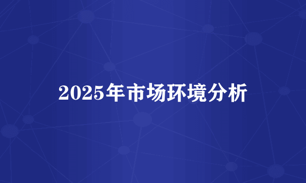 2025年市场环境分析