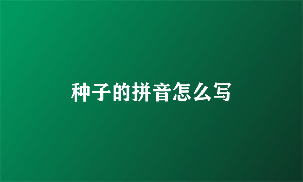 种子的拼音怎么写