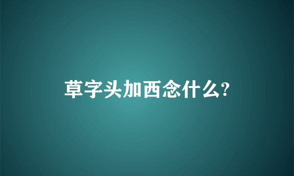 草字头加西念什么?