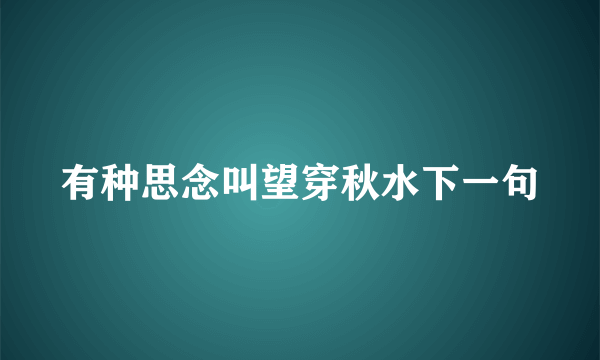 有种思念叫望穿秋水下一句