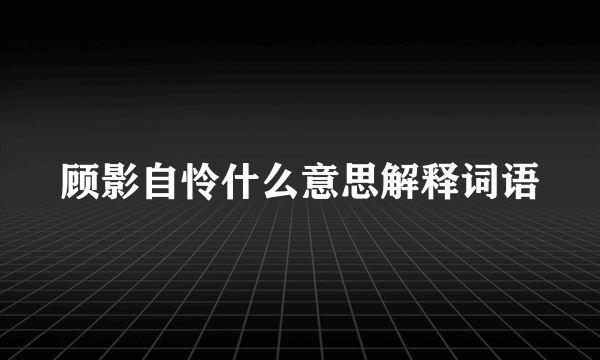 顾影自怜什么意思解释词语