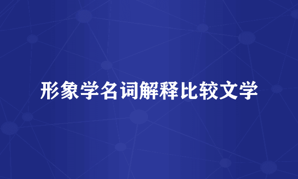 形象学名词解释比较文学
