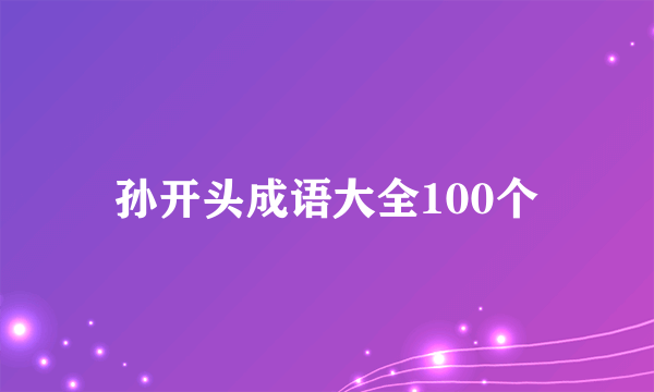 孙开头成语大全100个