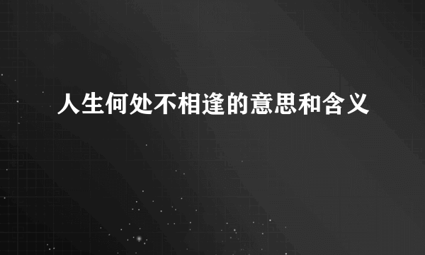 人生何处不相逢的意思和含义
