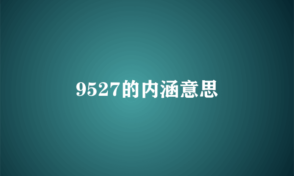 9527的内涵意思