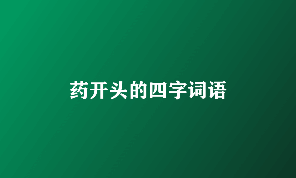 药开头的四字词语