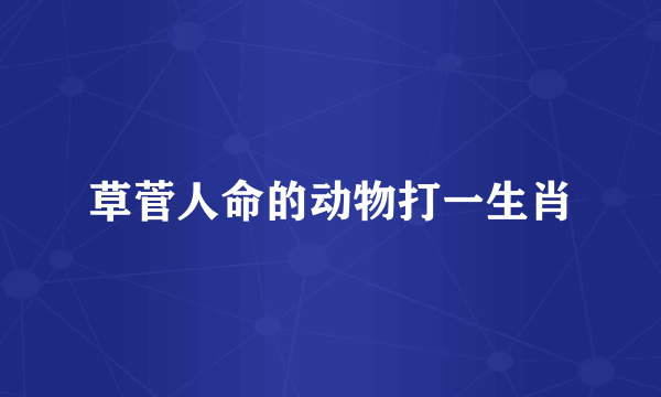 草菅人命的动物打一生肖