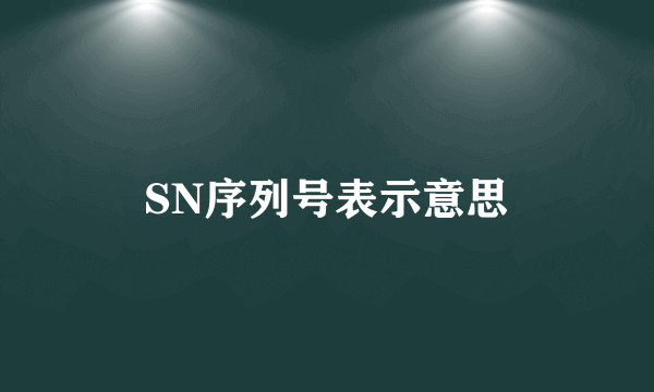 SN序列号表示意思