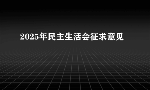 2025年民主生活会征求意见