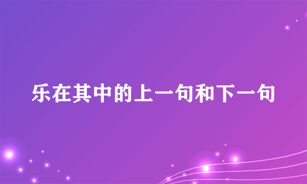 乐在其中的上一句和下一句
