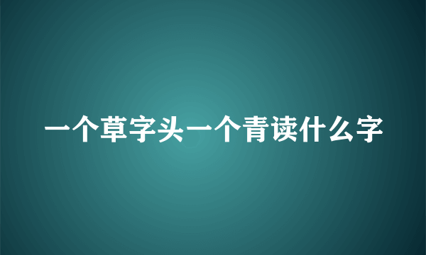 一个草字头一个青读什么字