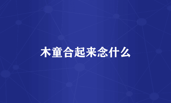 木童合起来念什么