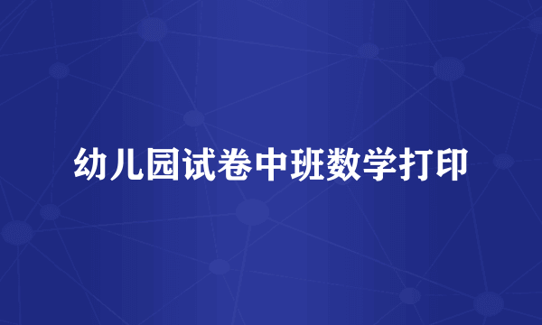 幼儿园试卷中班数学打印
