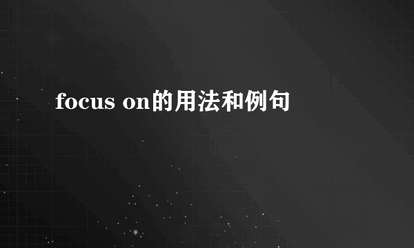 focus on的用法和例句