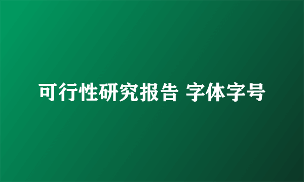 可行性研究报告 字体字号