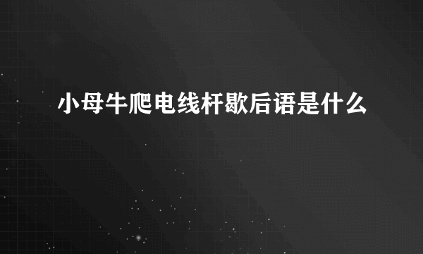 小母牛爬电线杆歇后语是什么