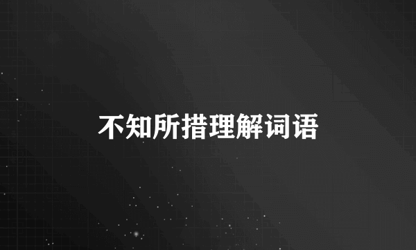 不知所措理解词语