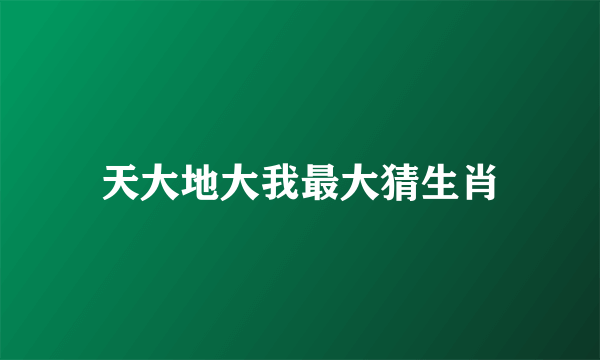 天大地大我最大猜生肖