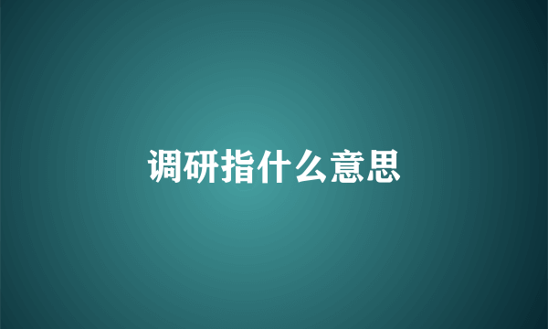 调研指什么意思