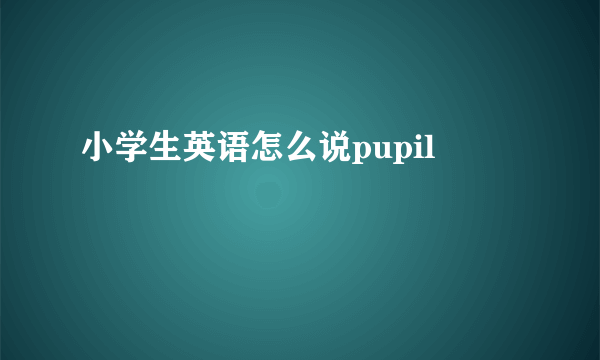小学生英语怎么说pupil