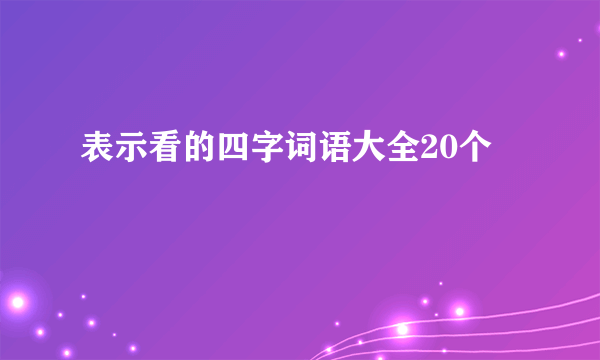 表示看的四字词语大全20个