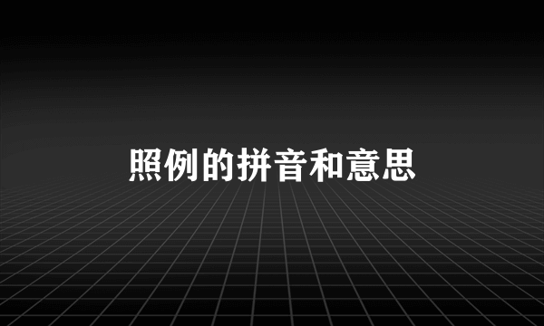 照例的拼音和意思