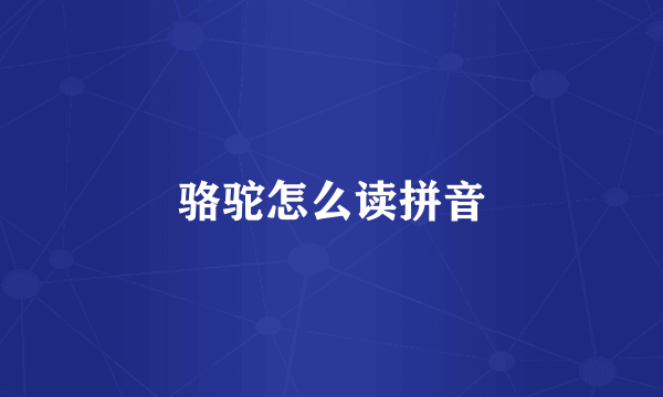 骆驼怎么读拼音