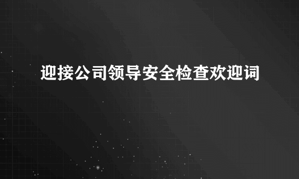 迎接公司领导安全检查欢迎词