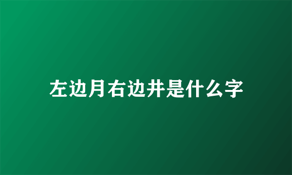 左边月右边井是什么字