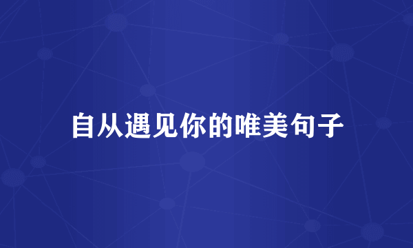 自从遇见你的唯美句子