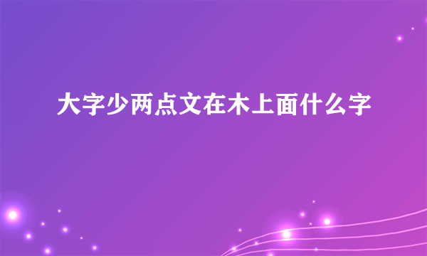 大字少两点文在木上面什么字