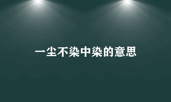一尘不染中染的意思