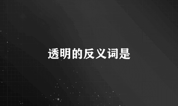 透明的反义词是